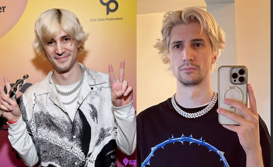 XQc Net Worth
